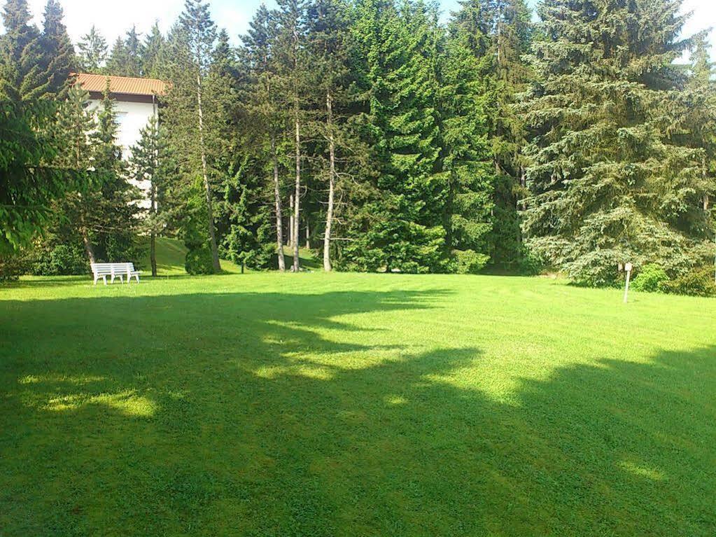 Waldhotel Berghof Luisenthal Dış mekan fotoğraf